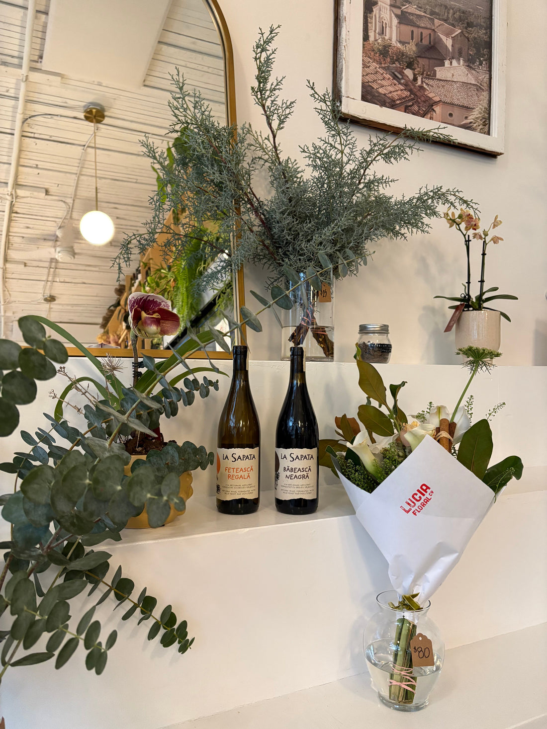 January 2026 - Romania