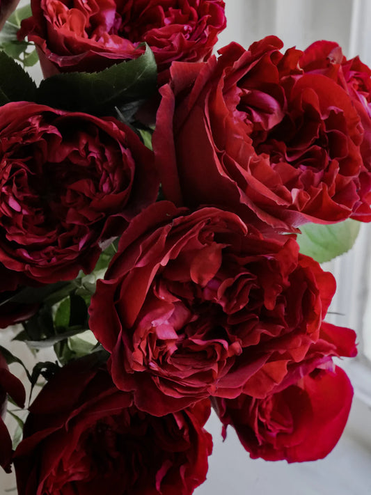 Rose & Sweet Pea Vase Arrangement (Rouge)