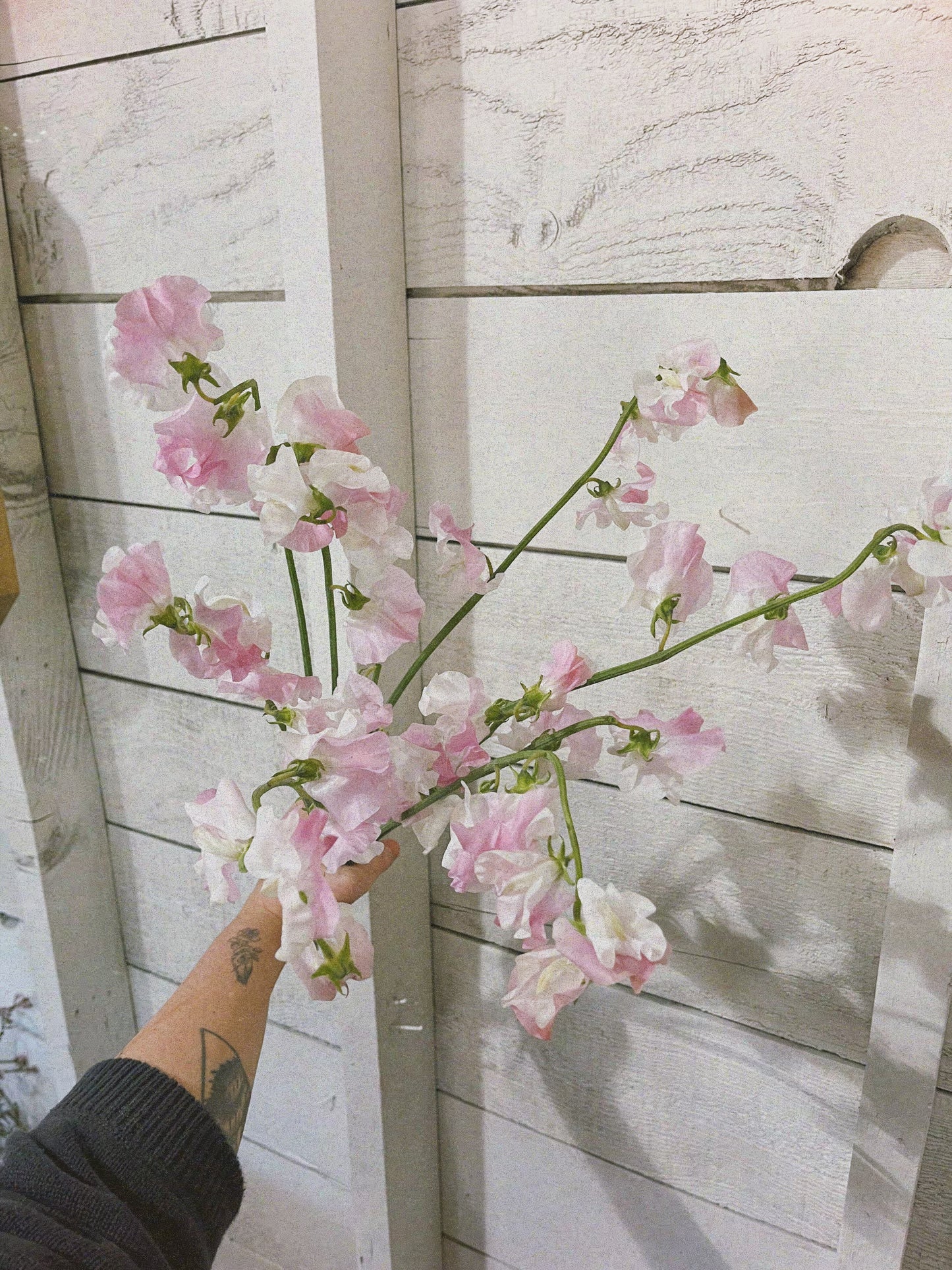 Cupid's Cloud Vase Arrangement