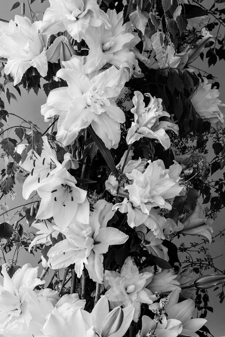 Inside Dogwood on Alberta